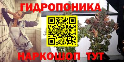 трава Гусев