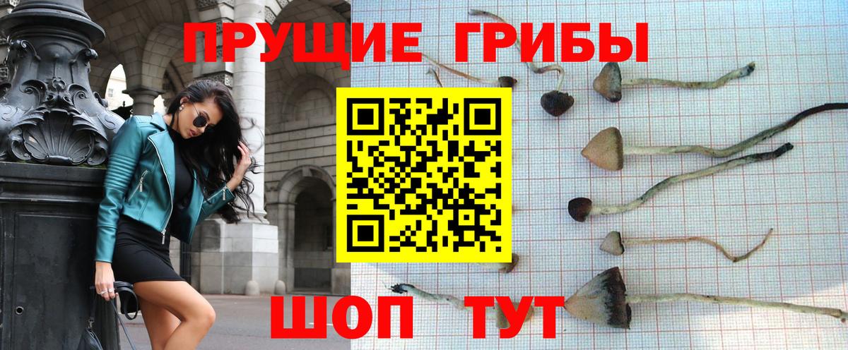 Галлюциногенные грибы Psilocybine cubensis Клин