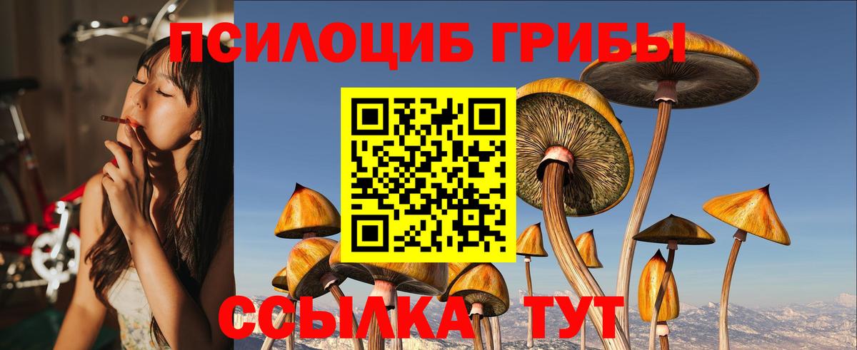 Клин  Псилоцибиновые грибы GOLDEN TEACHER  Вход с VPN  Псилоцибиновые грибы Psilocybe 