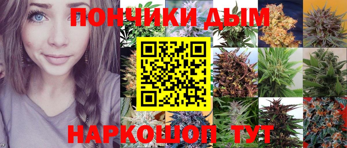 Канабис план Клин